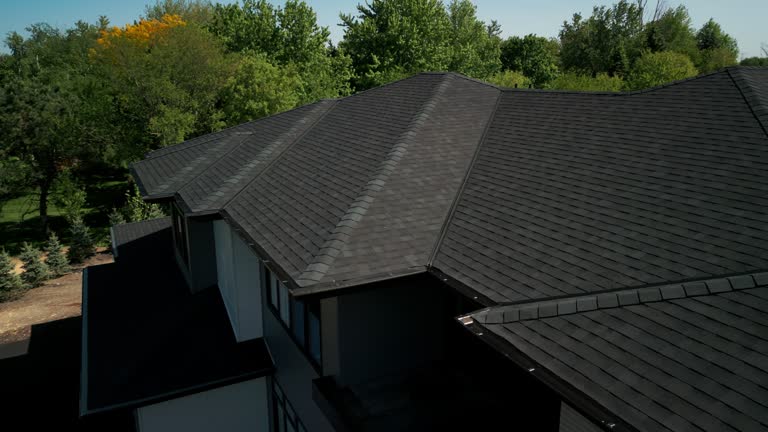 Best Roof Moss and Algae Removal  in Enon, OH